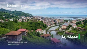 مدينة ريزا