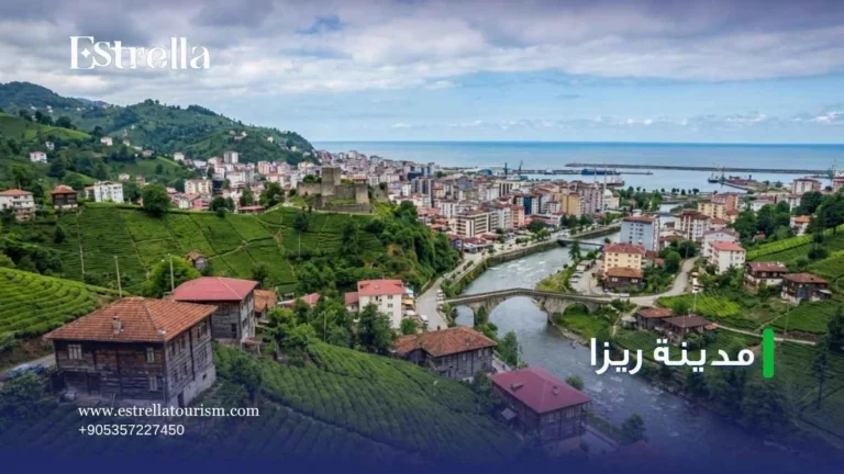 مدينة ريزا