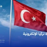 تأشيرة تركيا الإلكترونية 2