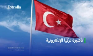 تأشيرة تركيا الإلكترونية 2