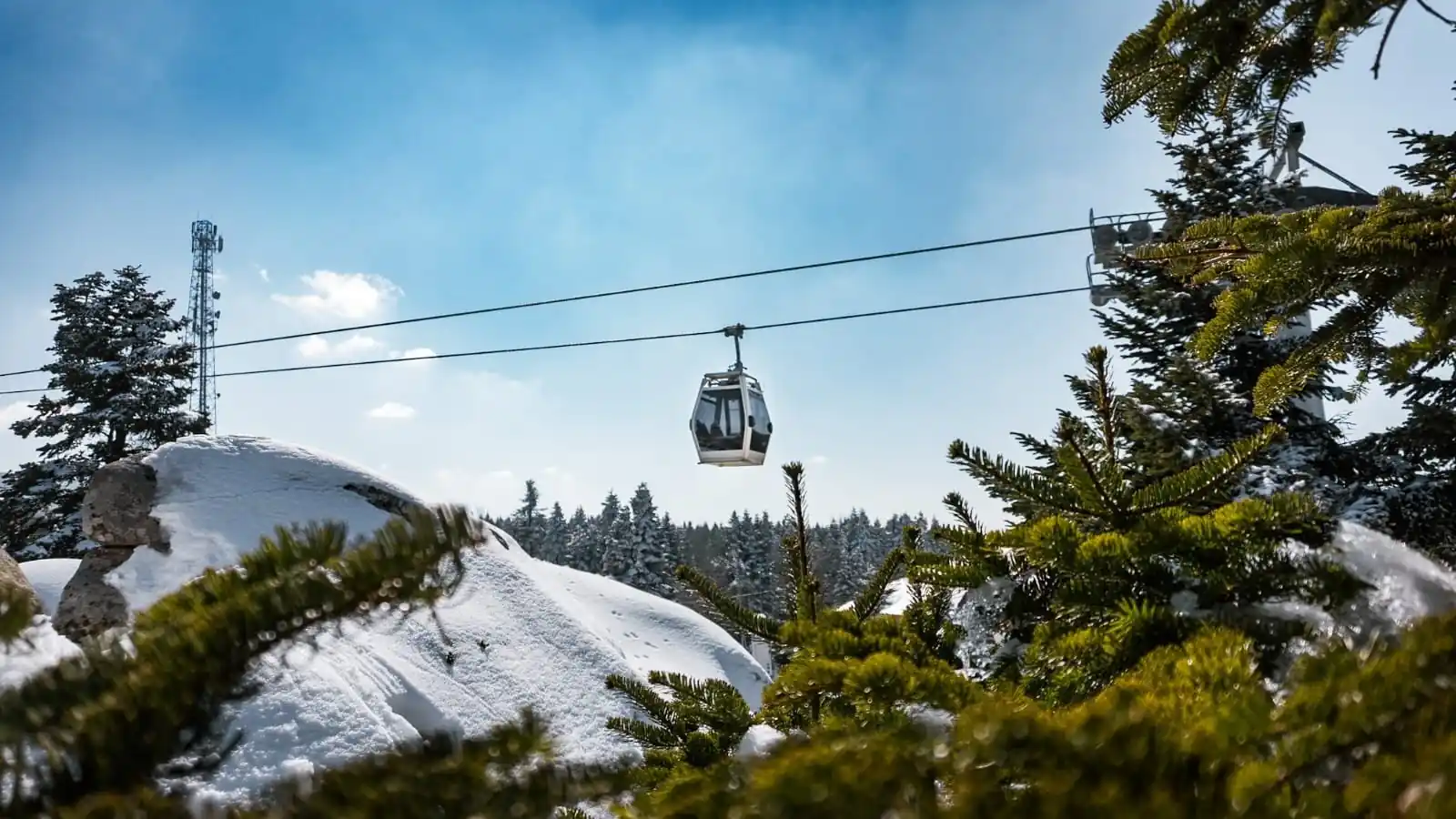 تلفريك بورصة يصعد نحو جبل أولوداغ وسط الطبيعة ضمن رحلة بورصة من إسطنبول