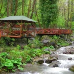 منظر طبيعي في معشوقية قرب سبانجا: جداول مياه بين الصخور وممرات وجلسات خشبية وسط الغابة