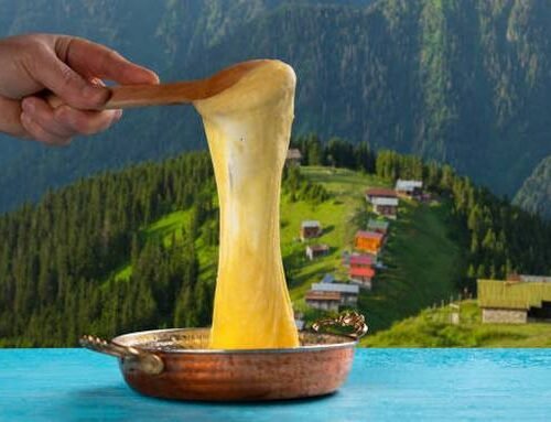 برنامج سياحي طرابزون – ايدر – اوزنجول 8 ليالي