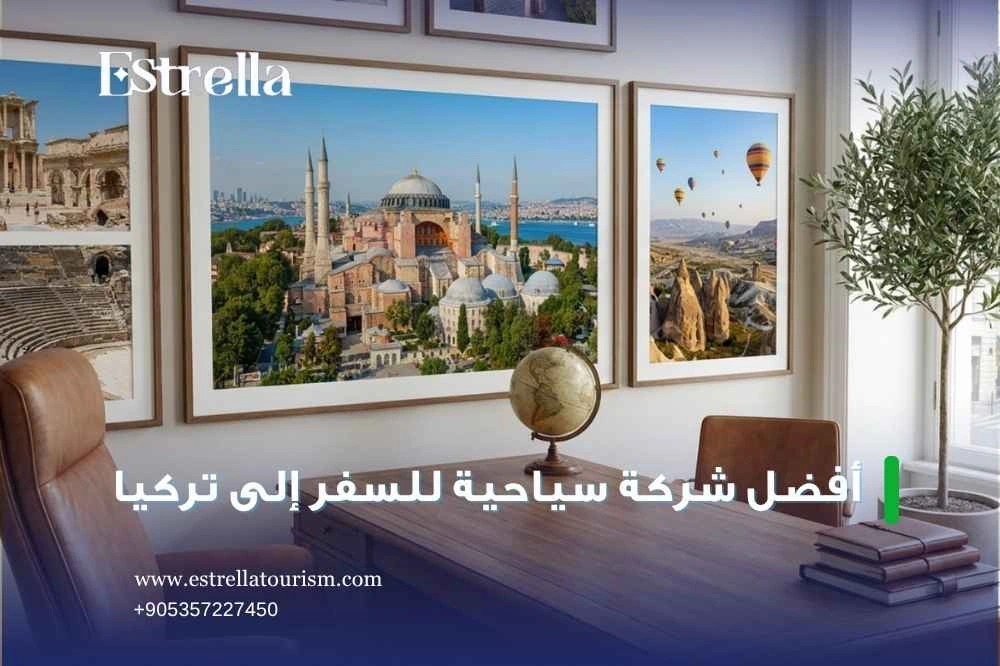 أسعار سيارة مع سائق في تركيا أسعار سيارة مع سائق في تركيا