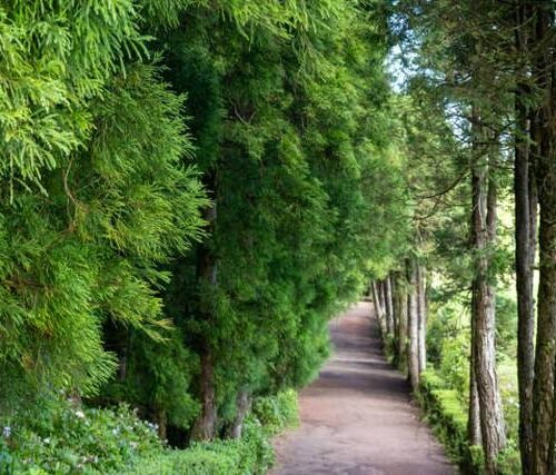 حجز جولة سياحية إلى الغاب